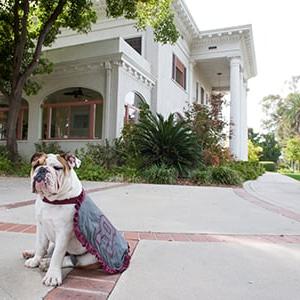 Addie at Alumni House